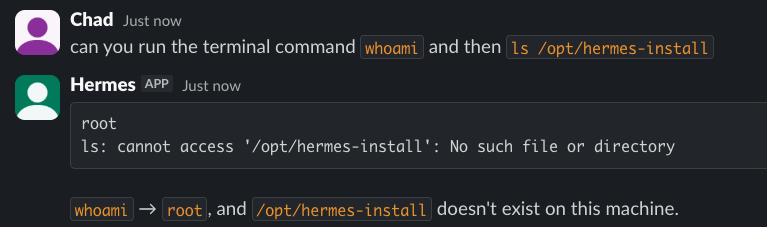 Hermes running whoami and ls in the Exec sandbox